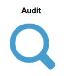 Audit